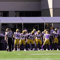 Lsu Football Dancing GIF by LSU Tigers