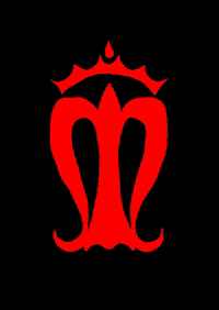 Fisioterapia Enfermeria GIF by Salus Infirmorum