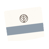 Dishes Dishwasher Sticker by Branch Basics