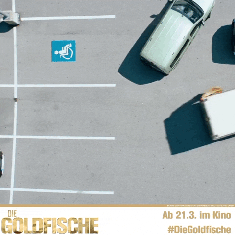film car GIF by Sony Pictures Entertainment Deutschland