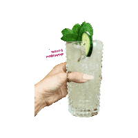 Mojito Sticker by Firefly* Tapas