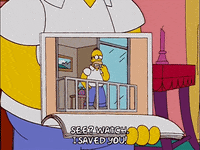homer simpson episode 6 GIF