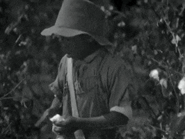 classic film GIF by Warner Archive