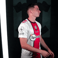 Premier League Football GIF by Southampton FC