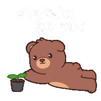 Youre The Best Teddy Bear Sticker by BEARISH
