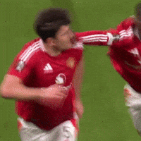 Europa League Win GIF by Manchester United