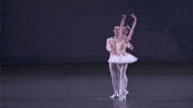 pas de deux ballerina GIF by New York City Ballet