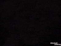 Shocked GIF