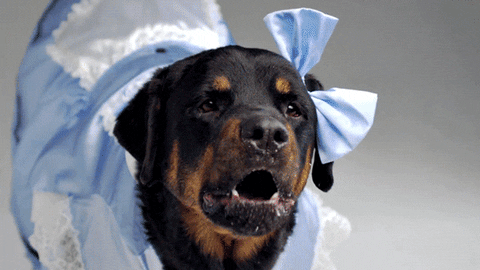 sure GIF by Digg