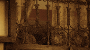 oh no fox GIF by Prison Break