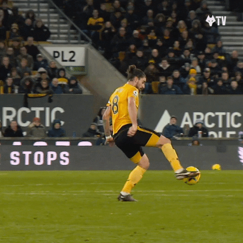 Premier League Football GIF by Wolves