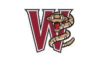 Minor League Baseball Sticker by Wisconsin Sportscenter
