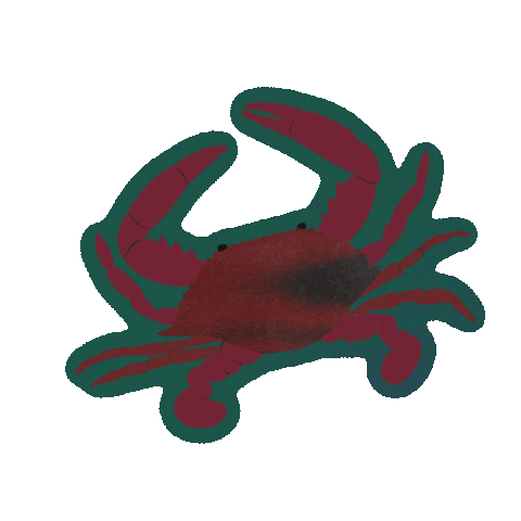 Zodiac Sign Birthday Sticker