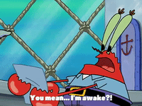 season 3 GIF by SpongeBob SquarePants