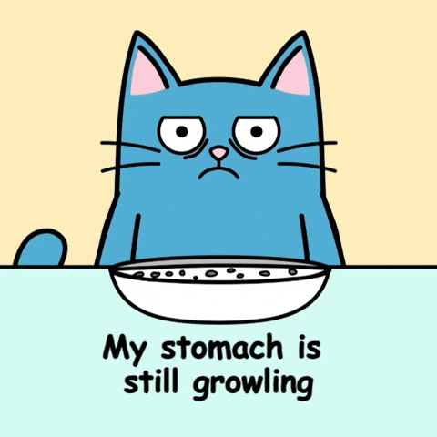 Blue Cat Nopecat GIF