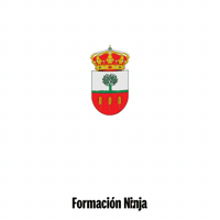 Flag Spain GIF by Formación Ninja
