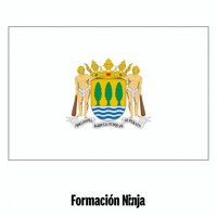 Flag Spain GIF by Formación Ninja