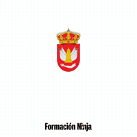 Castilla Y Leon Flag GIF by Formación Ninja
