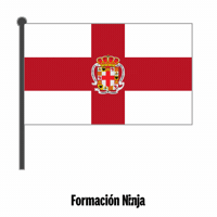 Flag Spain GIF by Formación Ninja