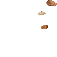 NuttyFoodz healthy snack honey keto Sticker