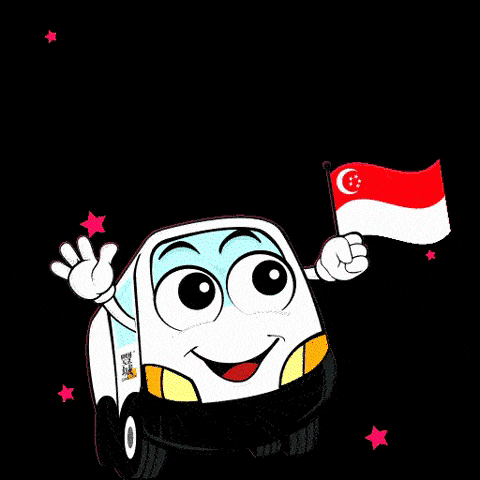 Singapore Ndp GIF by Gain City