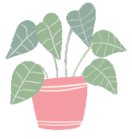 nanustudiofr plants cute gif cute plant pot plant Sticker