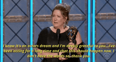 ann dowd i know its an actors dream and im deeply grateful to you GIF by Emmys