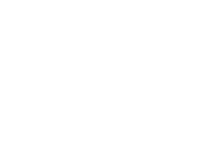 World Champions Racing Sticker by Véhicule