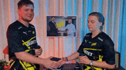 Esports GIF by BLAST