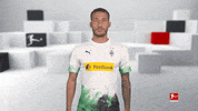 Line Up Reaction GIF by Bundesliga
