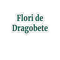 florariamagnolia dragobete floraria magnolia dragobete flori de dragobete floraria magnolia Sticker