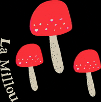 GIF by La Millou