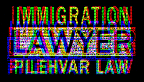 Pilehvarlaw giphygifmaker lawyer immigration attorney GIF