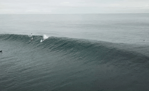 Surfing Barrel GIF by Campbell Designed “surfboards"