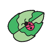 Spring Ladybug Sticker by Maeve Chocolate