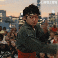 Karate Kid Fight GIF by Sony Pictures