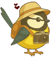 Bird Vogel Sticker by mahoniemoni