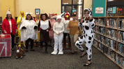 BeeCaveLibrary library bee cave library barnyard dance bee cave GIF