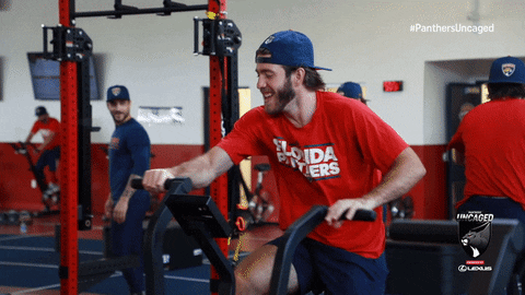 Hockey Cats GIF by Florida Panthers