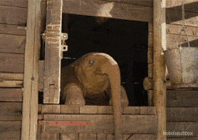 sunglasses deal with it GIF by Cheezburger