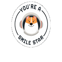 Braces Orthodontics Sticker by Smile Doctors Official