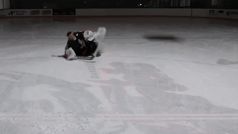 Hockey-goalie GIFs - Get the best GIF on GIPHY
