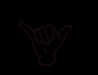 poshpua giphygifmaker giphygifmakermobile holoholo holoholosurf GIF