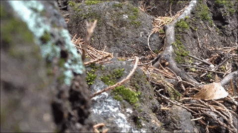 Art Video GIF by jorgemariozuleta