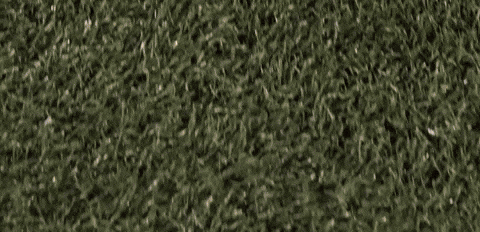 Womens Lacrosse GIF by Lafayette Leopards