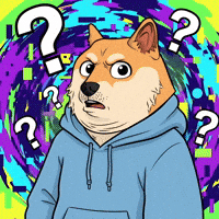 Shiba Inu What GIF by Doge Pound