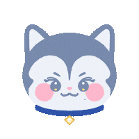 ndgallery seventeen 세븐틴 mingyu 김민규 Sticker