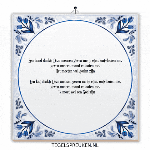 Humor Nl GIF by Tegelspreuken.nl