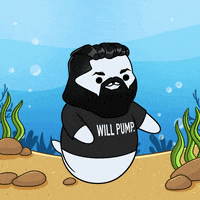 Happy 1 Of 1 GIF by Sappy Seals Community
