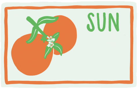 freepressink giphyupload florida sunshine sunny GIF